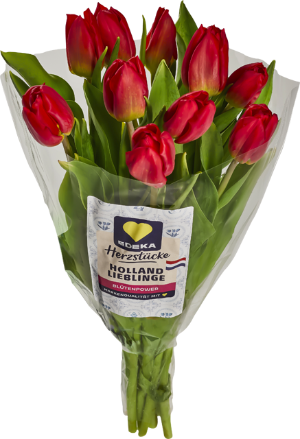 Ab Donnerstag erhältlich: EDEKA Herzstücke Tulpenstrauß 