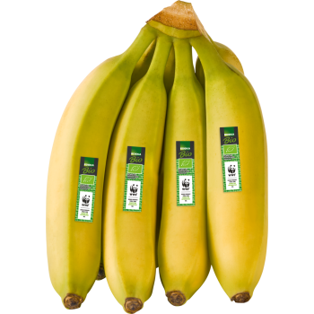 Ecuador - Bananen