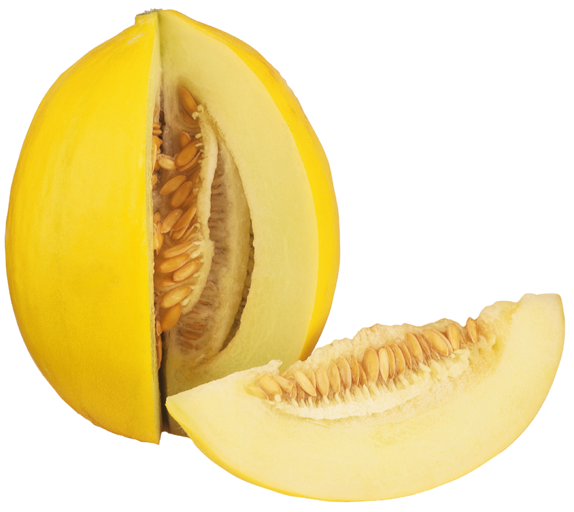 Honigmelonen