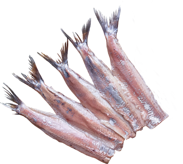 Matjes-Doppelfilet