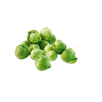 Niederlande - Rosenkohl