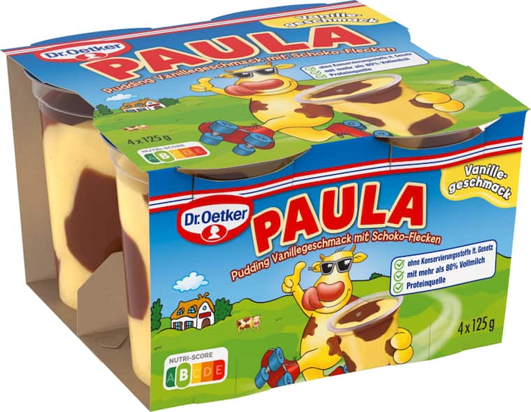 Dr. Oetker Paula Pudding oder Snack