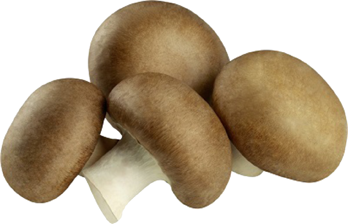 Champignons