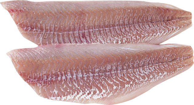 Frische Seelachsfilets