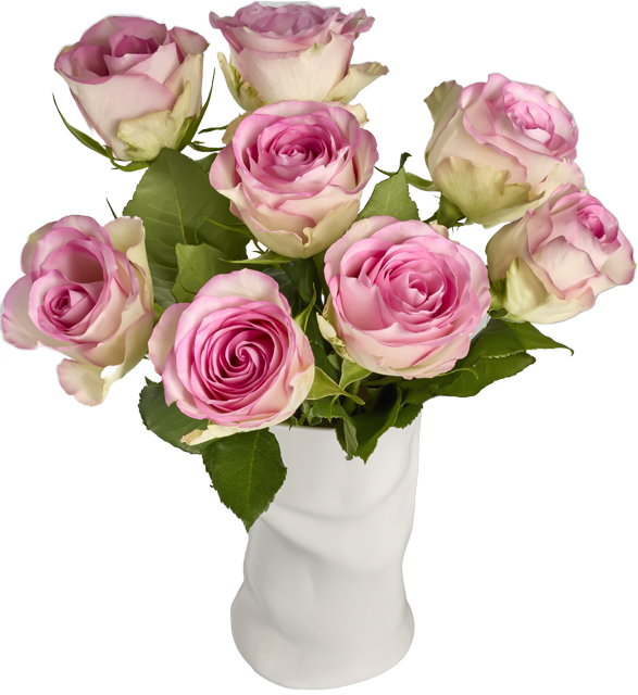 Ab Donnerstag erhältlich: ²Rosenstrauß Bicolor „Fairtrade“