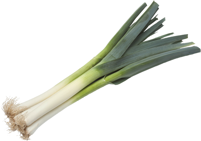 Lauch 
