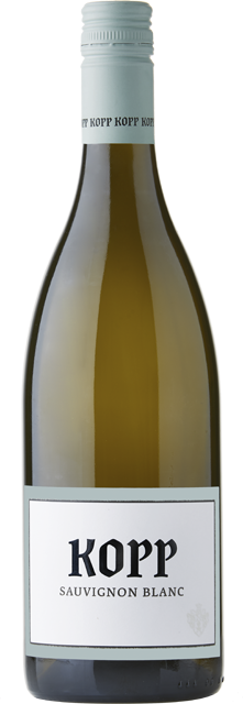 Baden Kopp Sauvignon blanc trocken