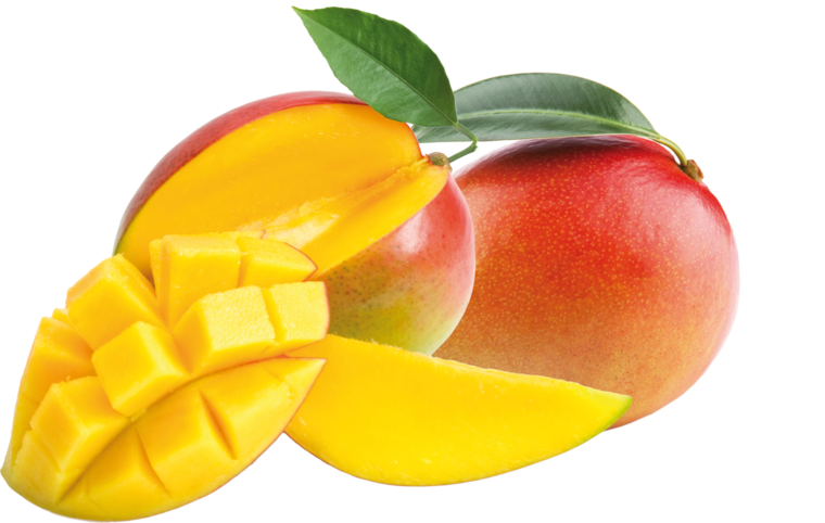 Mango "Kent/Keitt"
