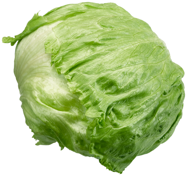 GUT&GÜNSTIG Eisbergsalat