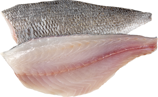 Frische Doradenfilets 