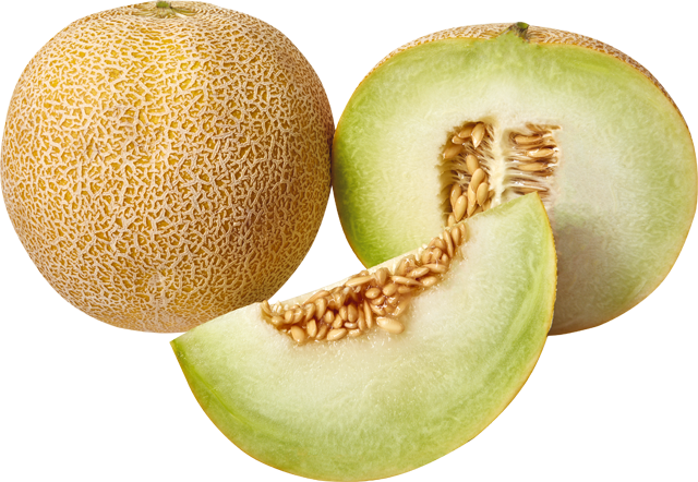 Bio Galia Melonen