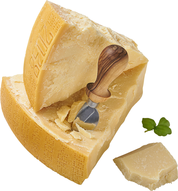 Parmigiano Reggiano DOP