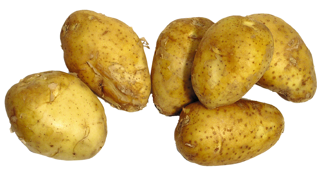 EDEKA Bio Speisefrühkartoffeln