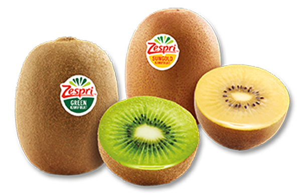 Neuseeland Zespri Jumbo-Kiwi, grün oder gold