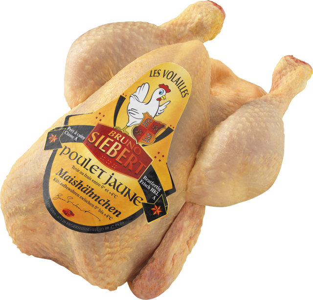 Frische französische Maishähnchen 