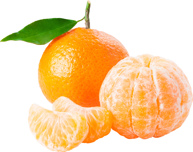 EDEKA Herzstücke WWF Clementinen