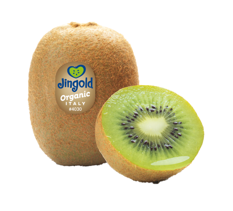 Jingold Bio Kiwi grün