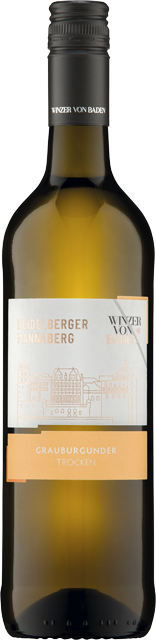 Winzer von  Baden Heidelberger Mannaberg Grauburgunder trocken 