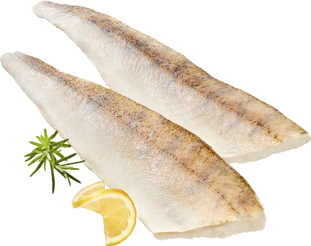 Ab Donnerstag erhältlich: ¹Zanderfilets