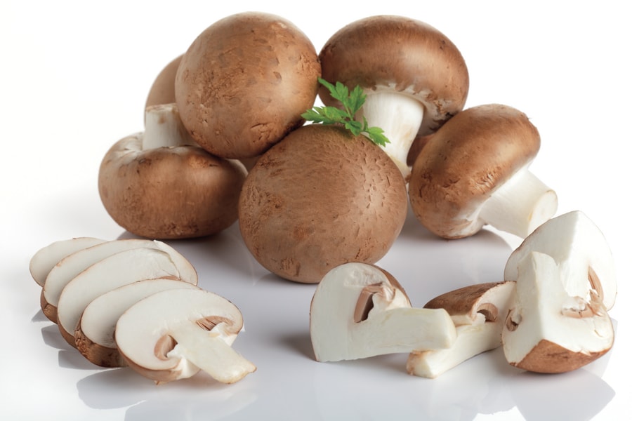 Riesenchampignons