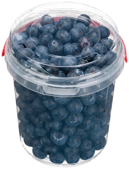 Heidelbeeren