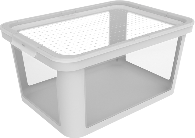rotho Box mit Stülpdeckel