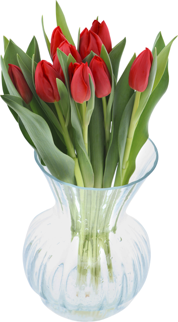 Ab Donnerstag: EDEKA Herzstücke Tulpenstrauß