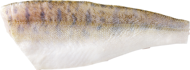 Zanderfilets