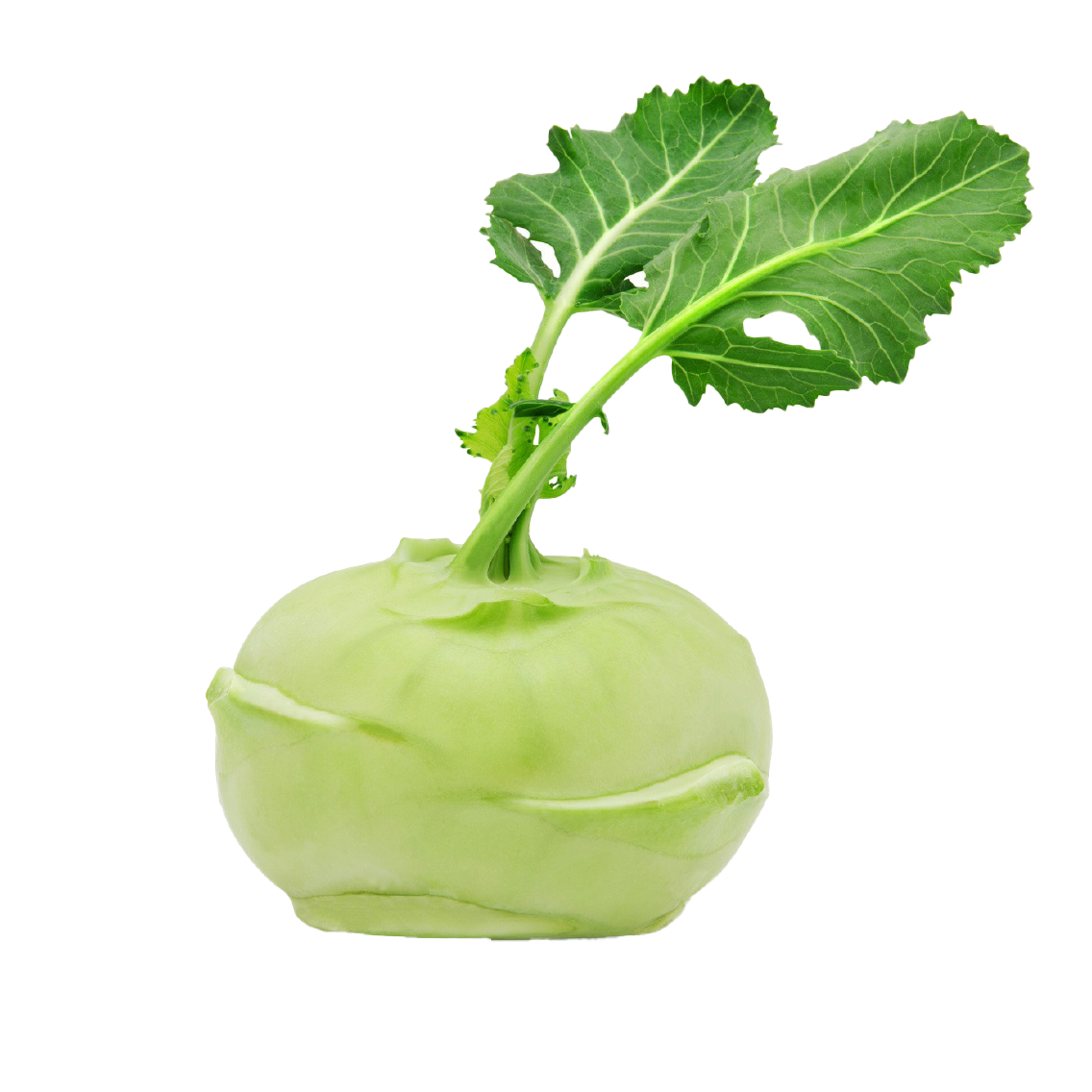 Unsere Heimat Kohlrabi