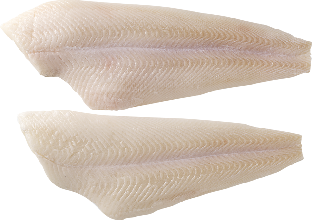 Frische Filets vom schwarzen Heilbutt
