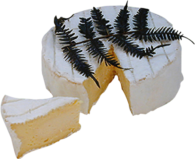 Fougerus
