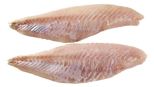 Frische Rotbarschfilets 