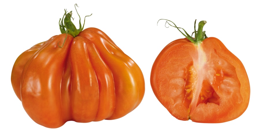 Fleischtomaten „Coeur de Boeuf"