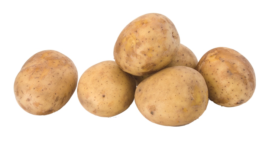 Speisekartoffeln
