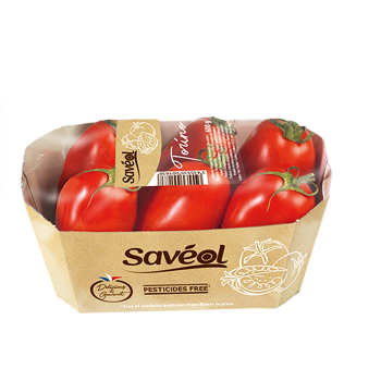Frankreich - Saveol - Romatomaten