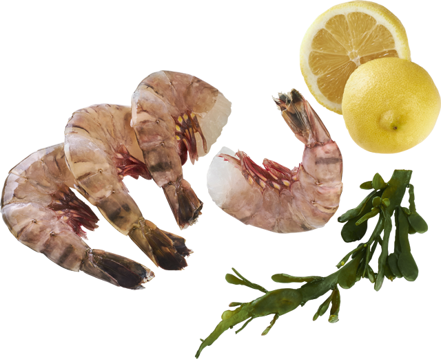 Donnerstag bis Samstag: ²Seawater Black Tiger Gambas 