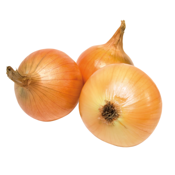Deutschland - meinLand Bio - Bio-Zwiebeln