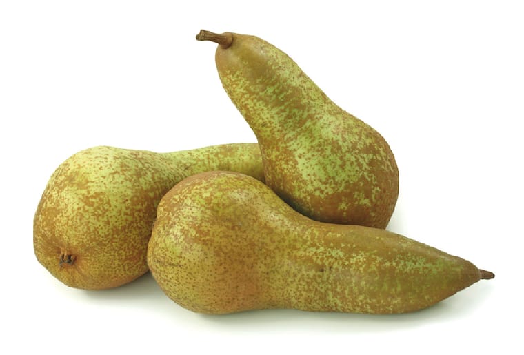 Gut&Günstig Tafelbirnen „Conference“