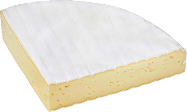 Französischer Brie 