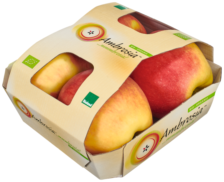 Bio Tafeläpfel Ambrosia, Kanzi oder Pink Lady