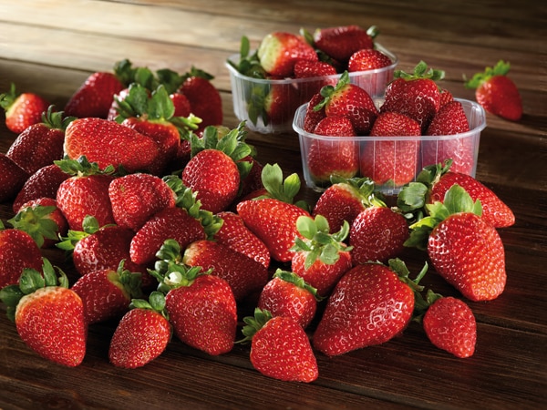 Deutschland Erdbeeren