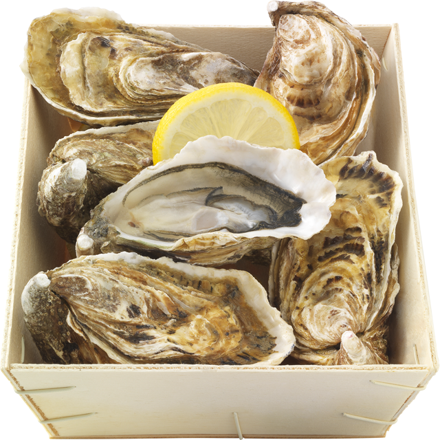 ¹Austern Fines de Claire 