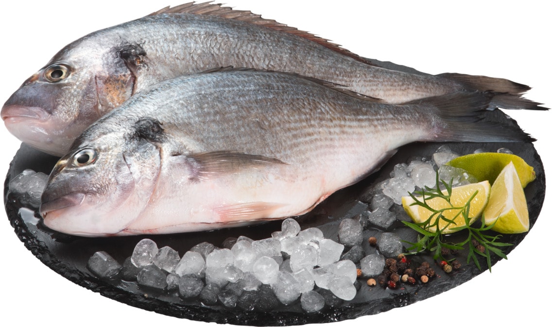 Dorade