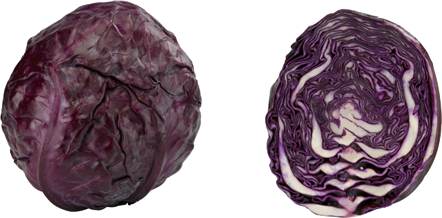 Rotkraut oder Weißkraut