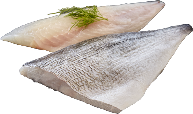 Ab Donnerstag erhältlich: ²Dorade Royal Filets 