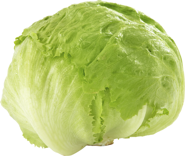 ¹Samstags-Knüller: Eisbergsalat