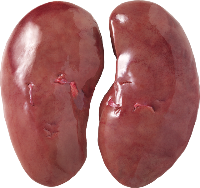 Schweinenieren, Schweineherzen oder Schweineleber