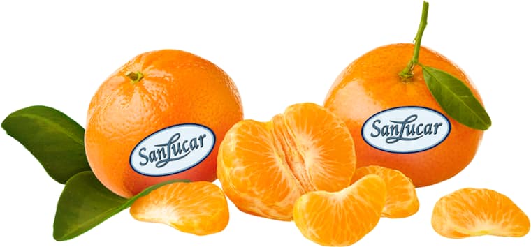 EDEKA Genussmomente oder SanLucar Mandarinen
