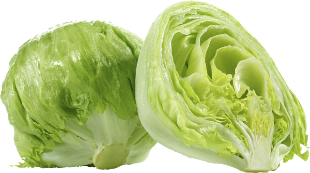 Unsere Heimat –  echt & gut Eisbergsalat
