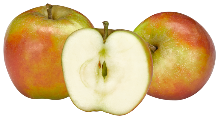 Tafeläpfel Holsteiner Cox